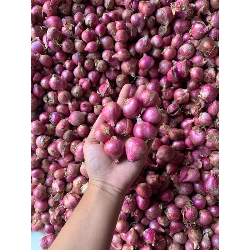 

bawang merah Bima 1kg