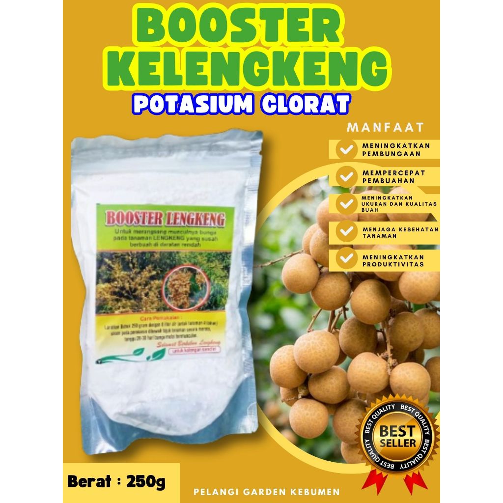 SOLUSI AMPUH  Booster Kelengkeng Cangkokan, Booster Kelengkeng Cristal