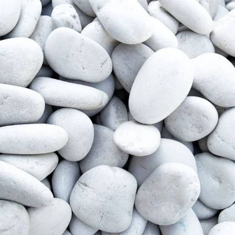 

baru berbagai ukuran 250-500 gram