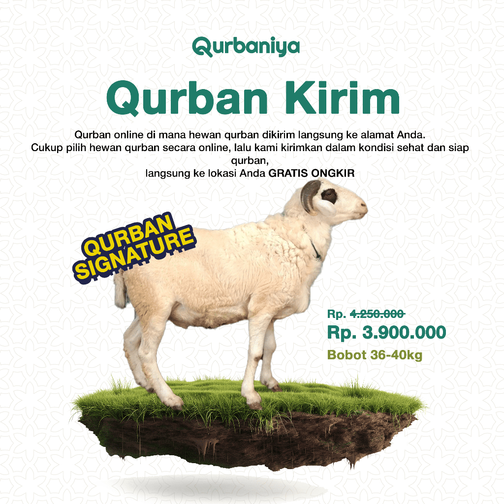 

Qurban Signature Domba Jantan Kirim Hidup JABODETABEK