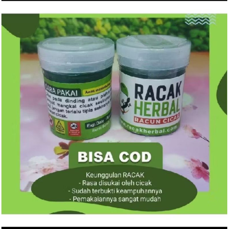 Racun cicak herbal, paling ampuh pembasmi cicak
