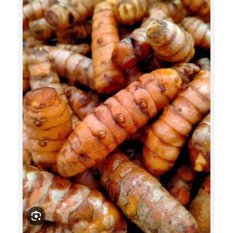 

1 kg kunyit segar / kunyit / kunir asli / kunyit fresh