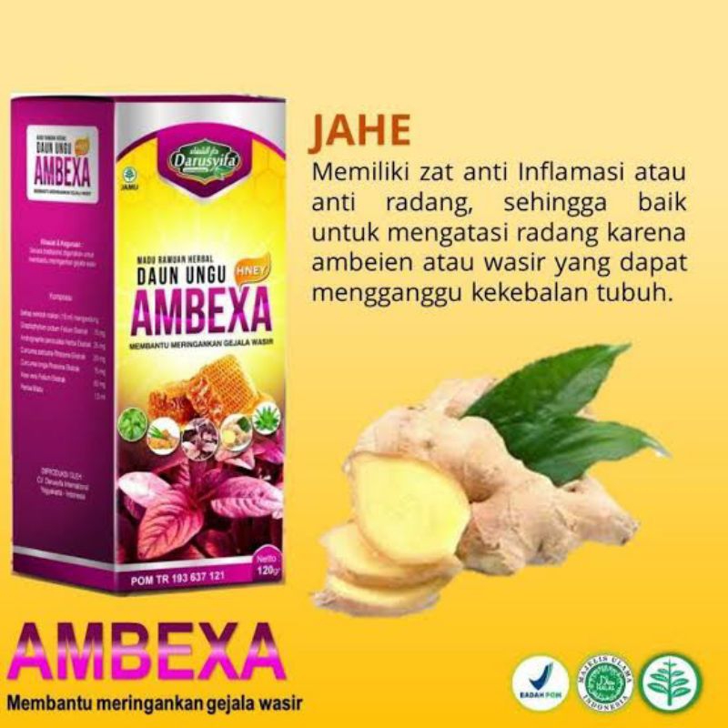 AMBEXA OBAT HERBAL AMBEIEN WASIR AMPUH ASLI ORIGINAL