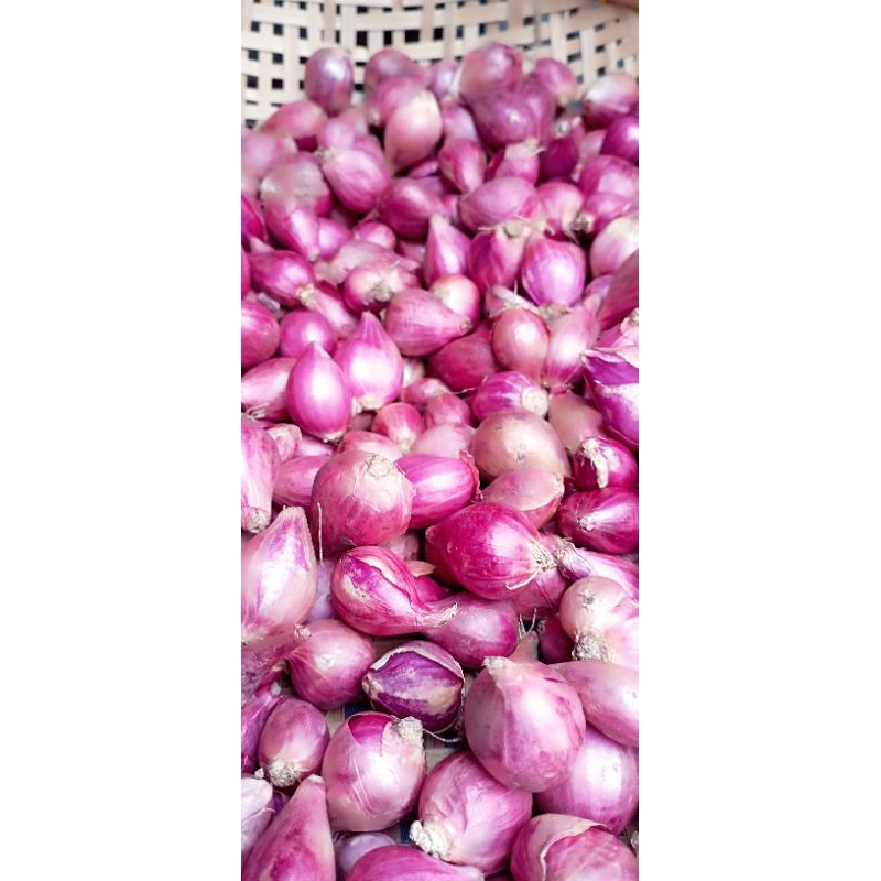 

BAWANG MERAH SUPER SEGAR KERING