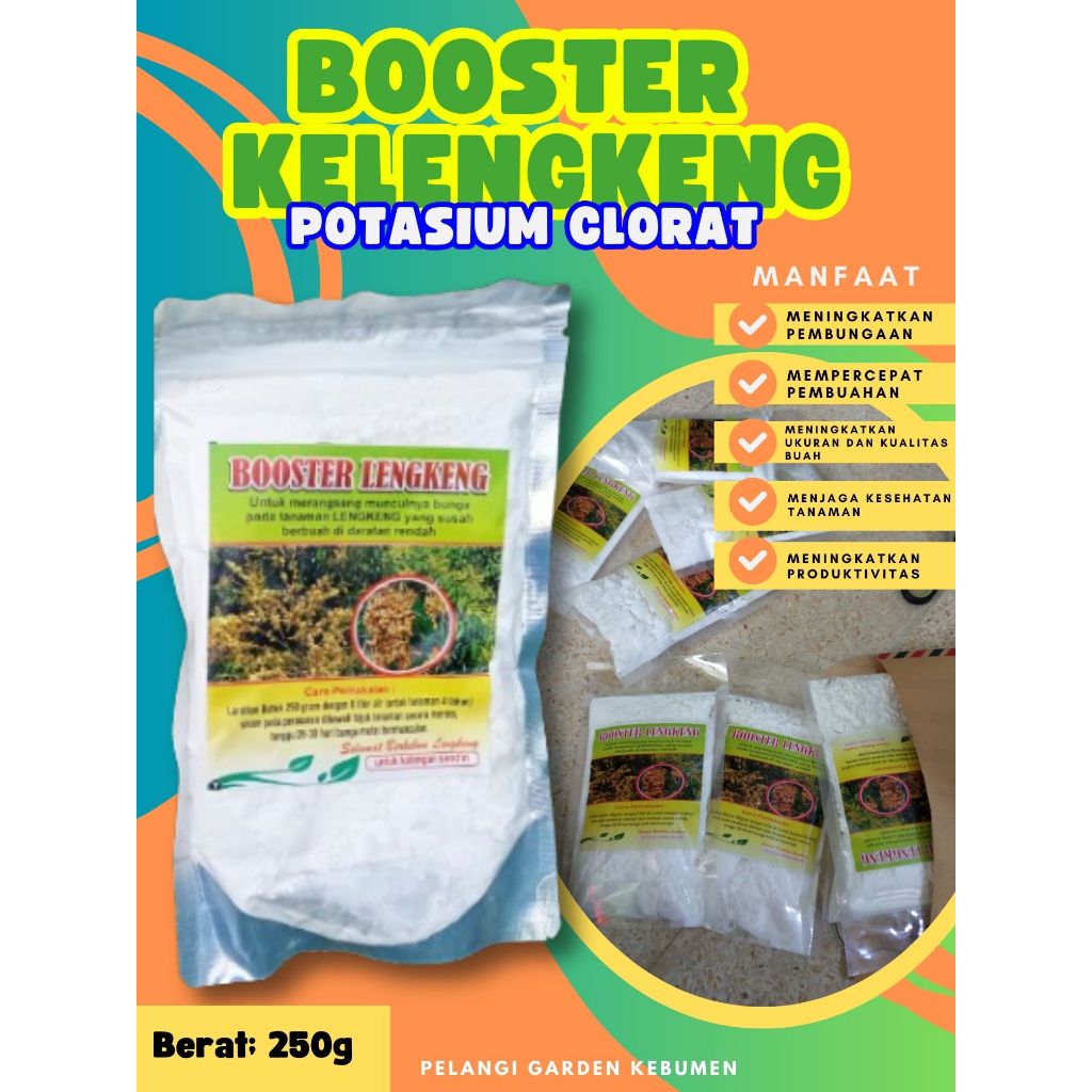 BEBAS JAMUR  Booster Kelengkeng New Kristal Cangkok, Booster Kelengkeng New Kristal Berbuah