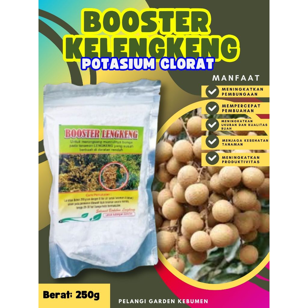 PALING DICARI  Boster Kelengkeng Cangkokan, Boster Kelengkeng Cristal