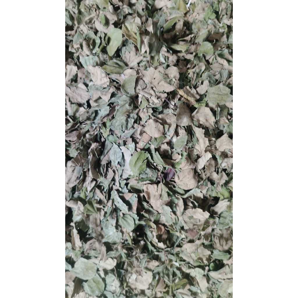 

Daun Bidara kering herbal