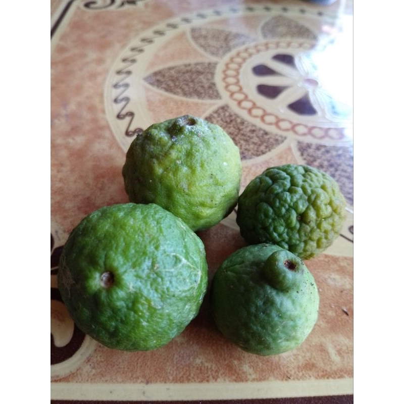 

jeruk purut,jeruk sambal