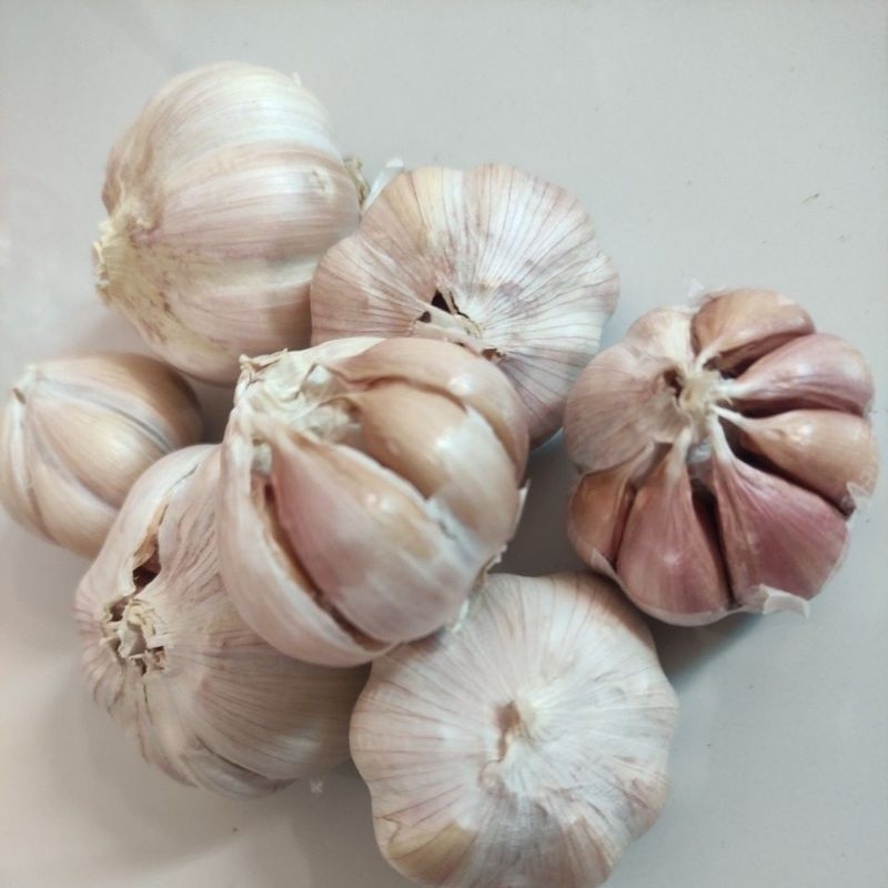 

Bawang Putih 1kg