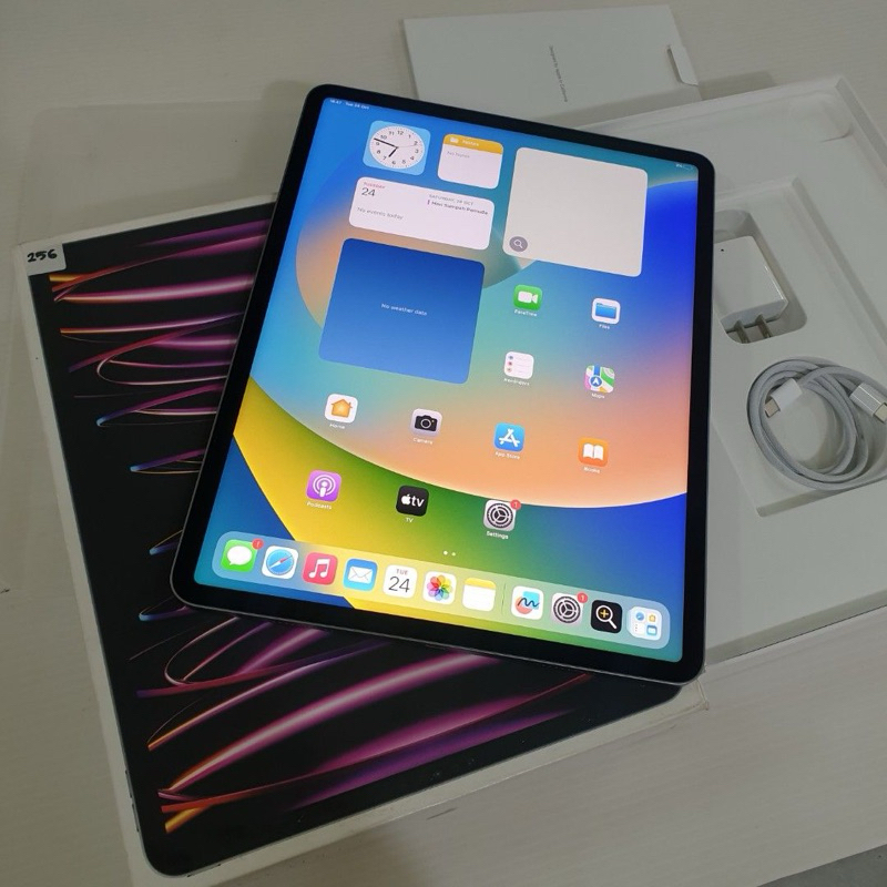 Ipad M2 Pro 2022 256 GB