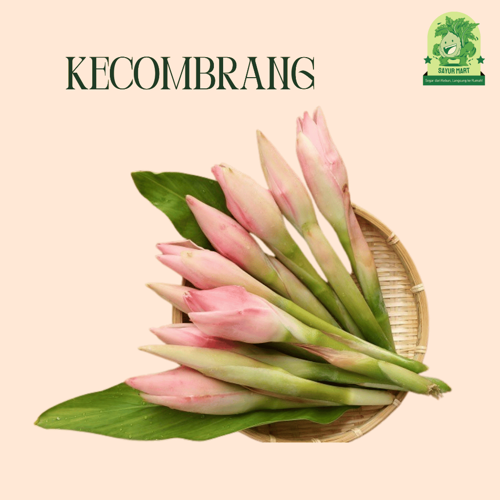

Kecombrang 250 Gram
