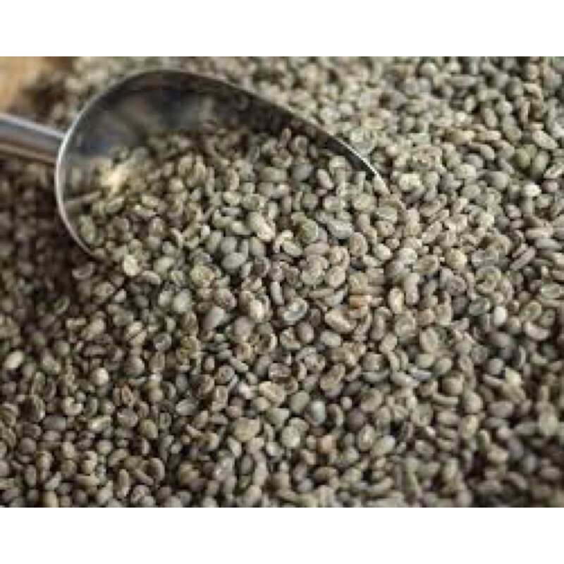 

Green Bean Kopi Arabika Arjuna - Jawa Timur