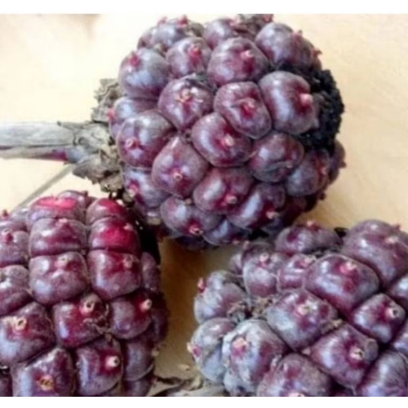 

buah honje merah fress honje laka 1 kg