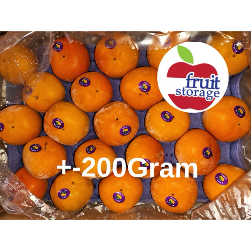 

Buah Persimmon Manis Premium kesemek impor Australia New Zealand Korea China Import persimon