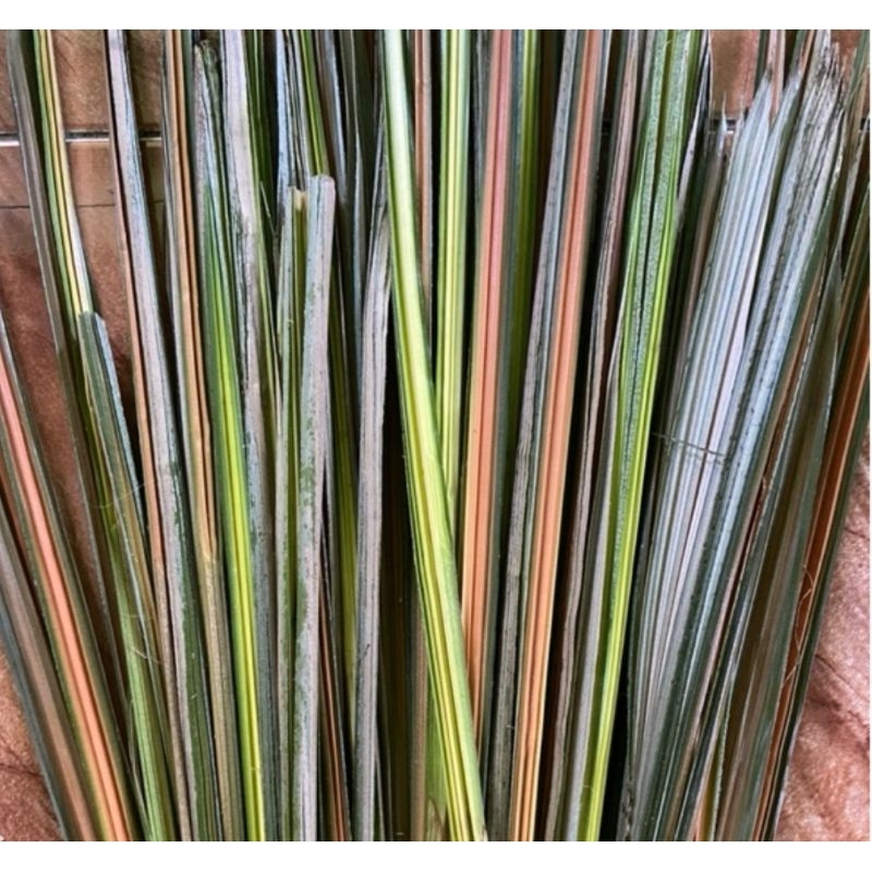 

Daun salak muda fresh 250 gram organik