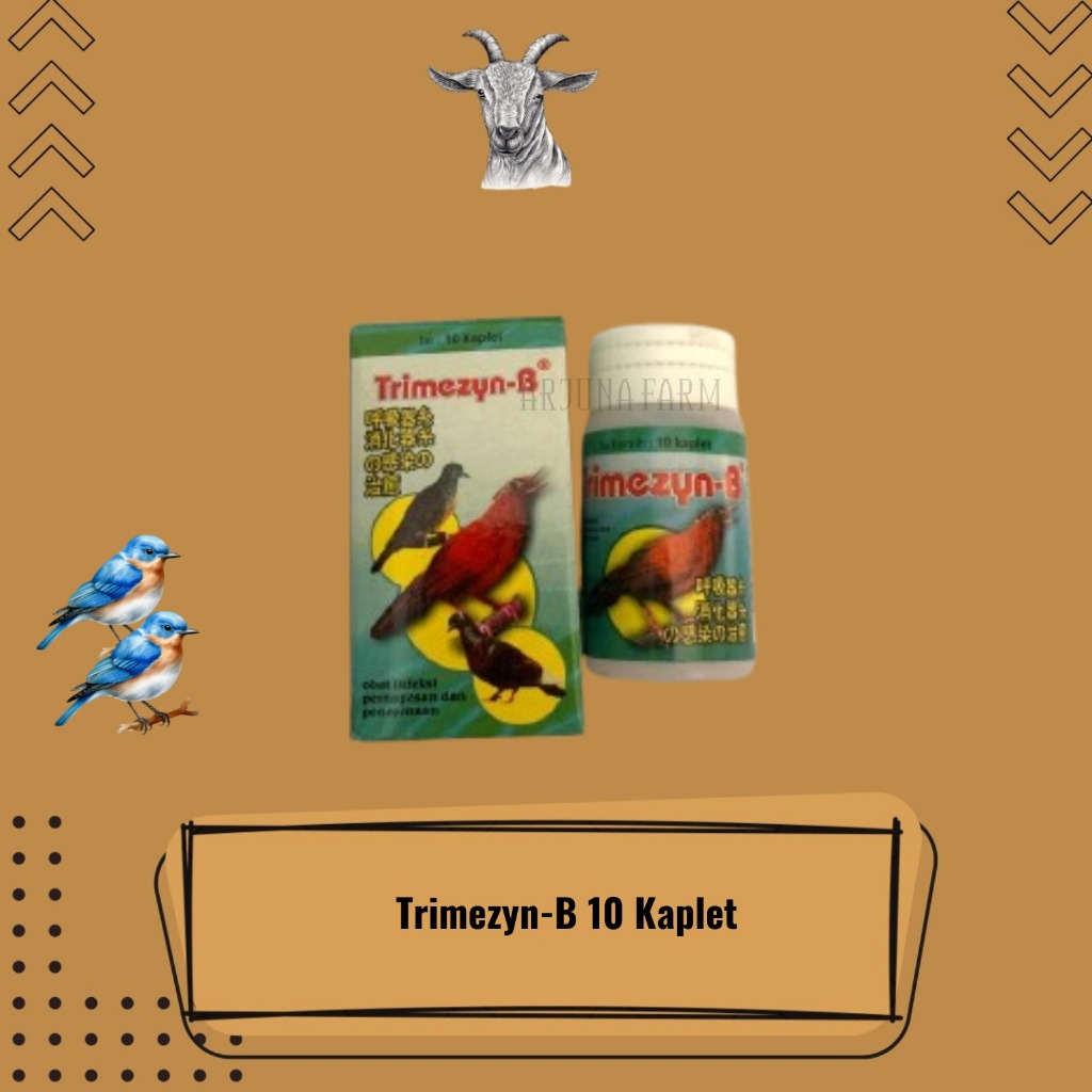 Trimezyn B Plus 10 Kaplet Obat Burung Sesak Nafas Medion