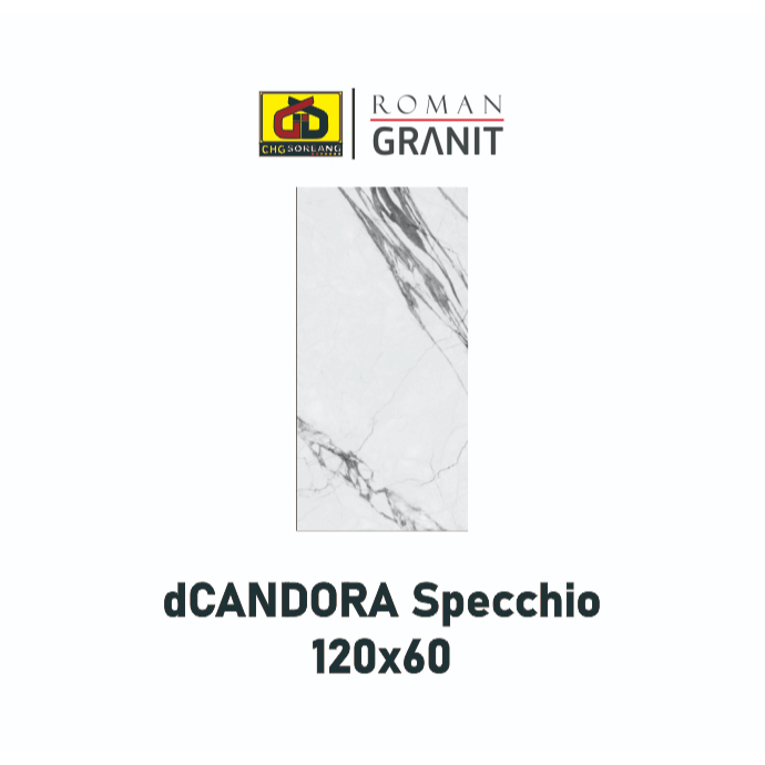 Roman 120x60 granite glossy / Granite 120x60 glosy (decor) KW 1 / GRADE A