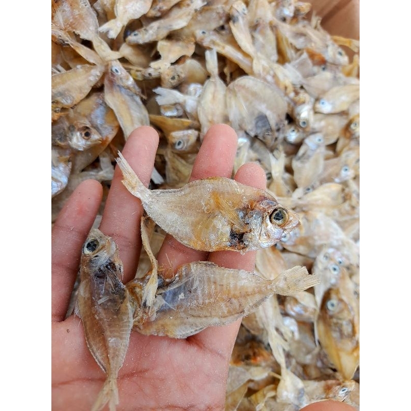 

ikan kapasan kering tawar