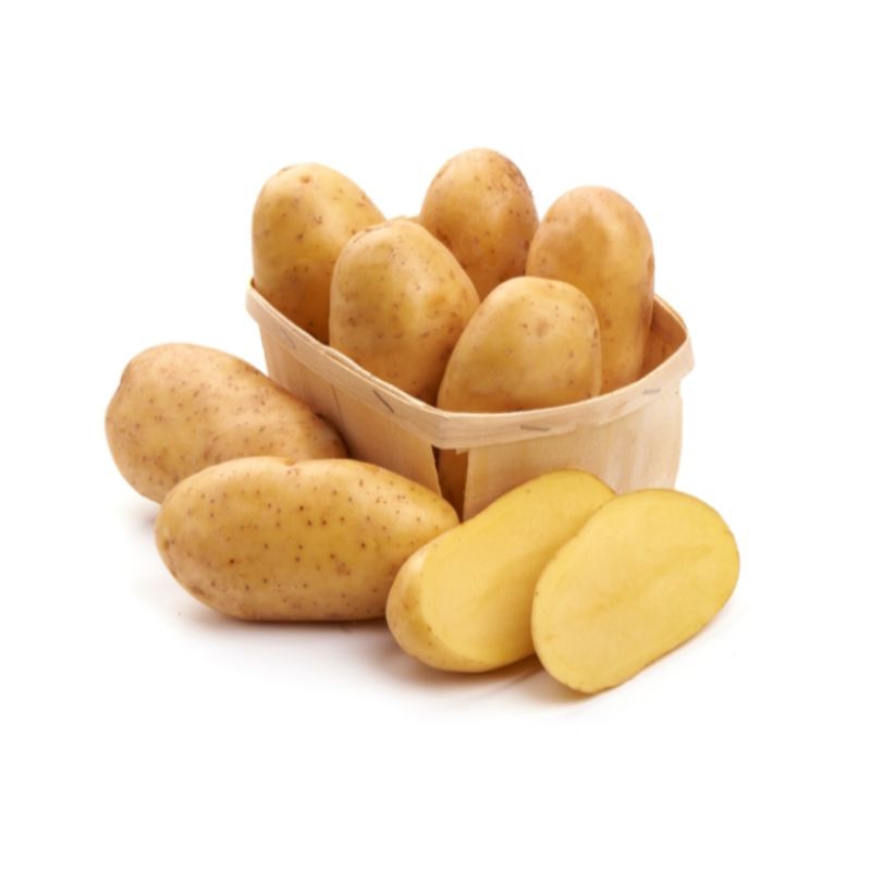 

Sayuran Kentang Dieng ( 1.kg )