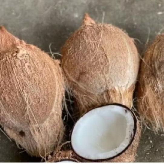 

kalapa tua bahn santan/klpa kering