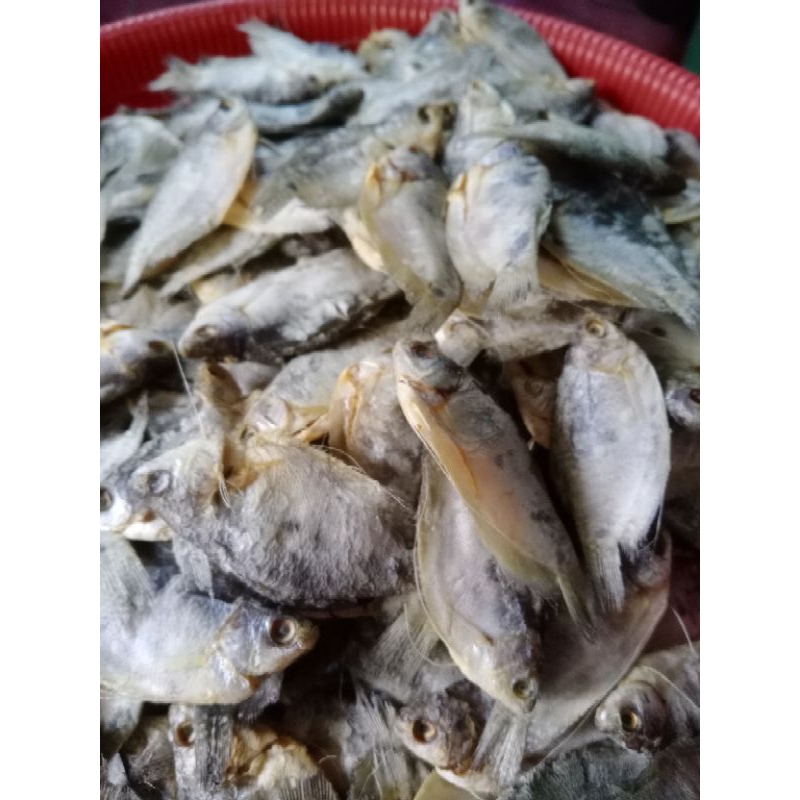 

ikan asin sepat rawa per 1kg
