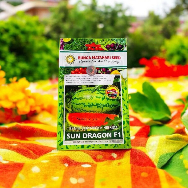 BENIH SEMANGKA HIBRIDA SUN DRAGON F1,BIBIT SEMANGKA MERAH UNGGULAN,BUNGA MATAHARI SEED
