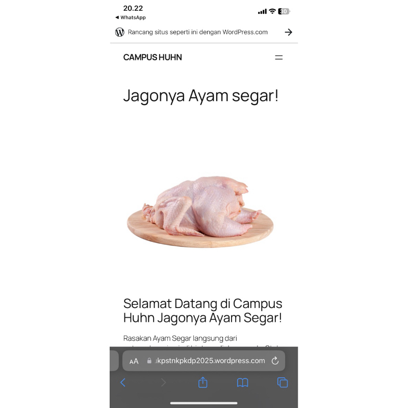 

DAGING AYAM SEGAR