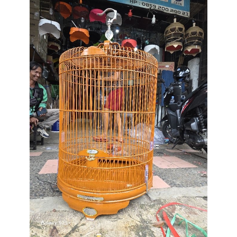 sangkar kandang murai bnr pvc no 2