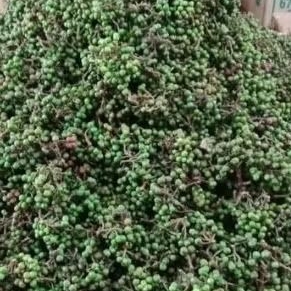 

Rempah Andaliman//rempah khas Medan Andaliman 50gr