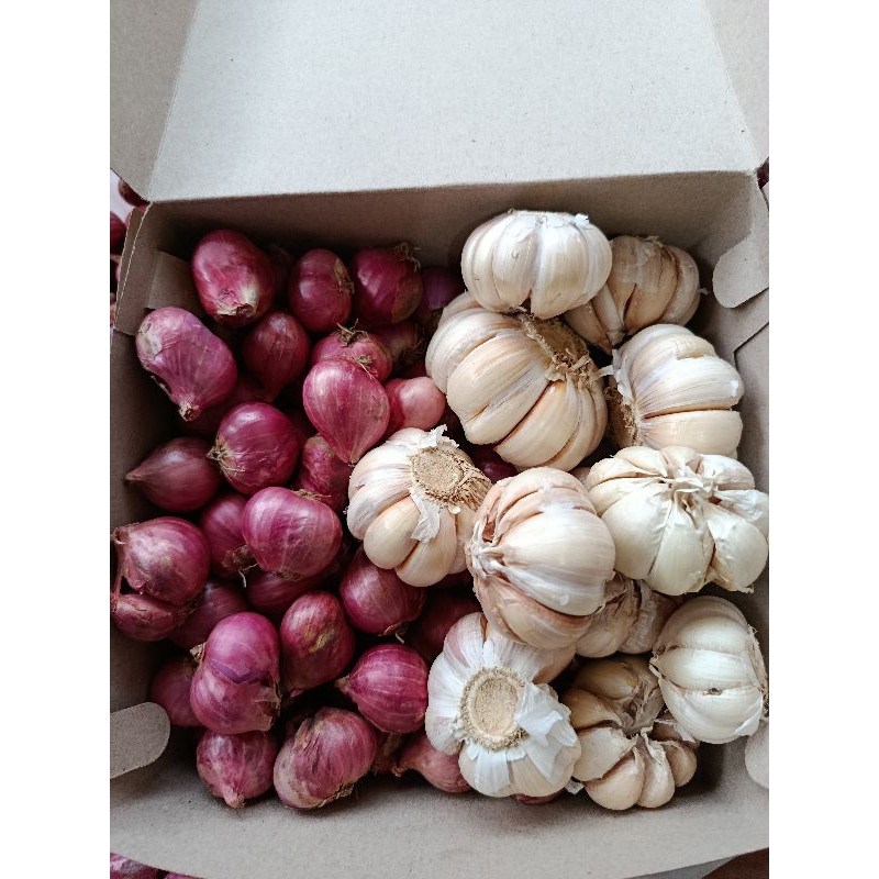 

Bumbu dapur bawang merah dan bawang putih