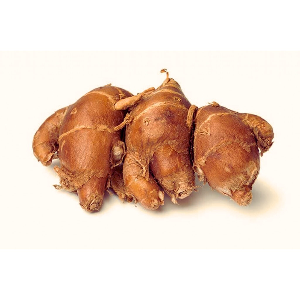 

Kencur tua murah 250gr