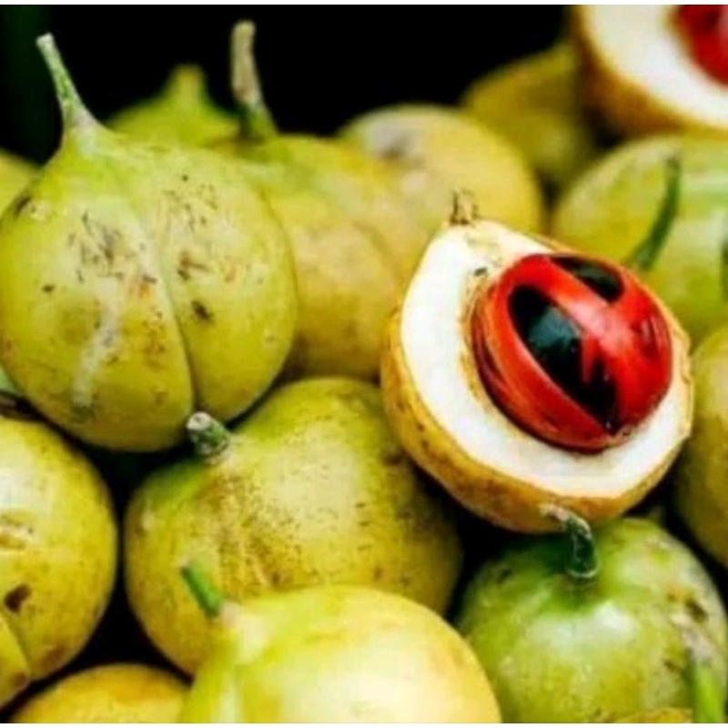 

buah pala segar fres baru petik berat 1kg