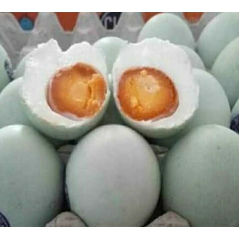 

TELUR ASIN RISKA