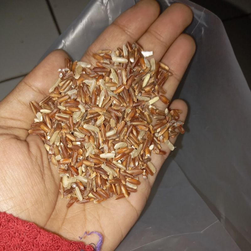 

Beras Merah Diet Tinggi serat ( Tanpa Gabah )
