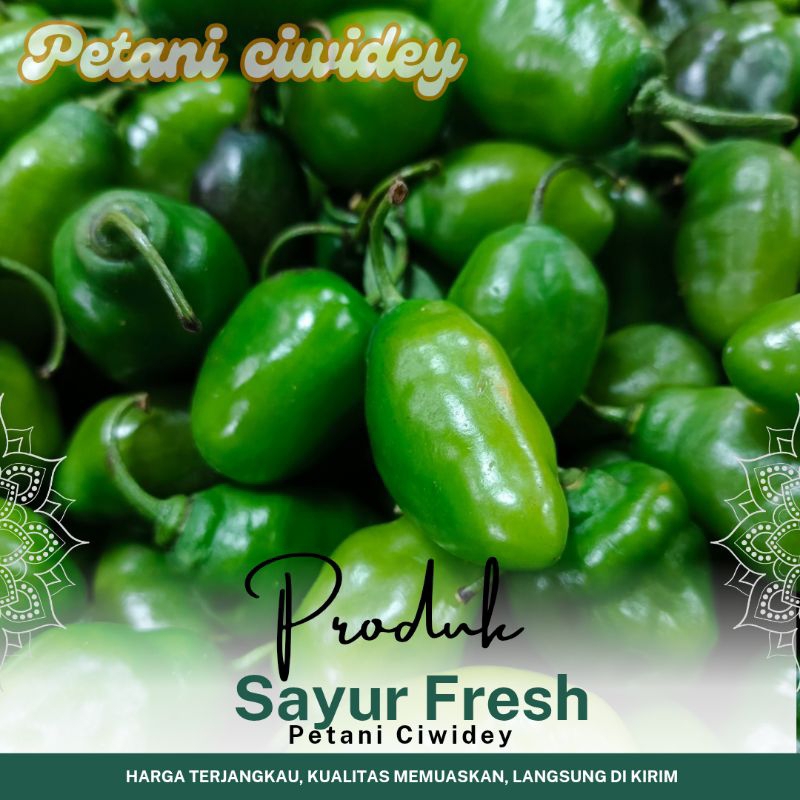 

PROMO cabai GENDOT HIJAU 500 GRAM PETANI CIWIDEY