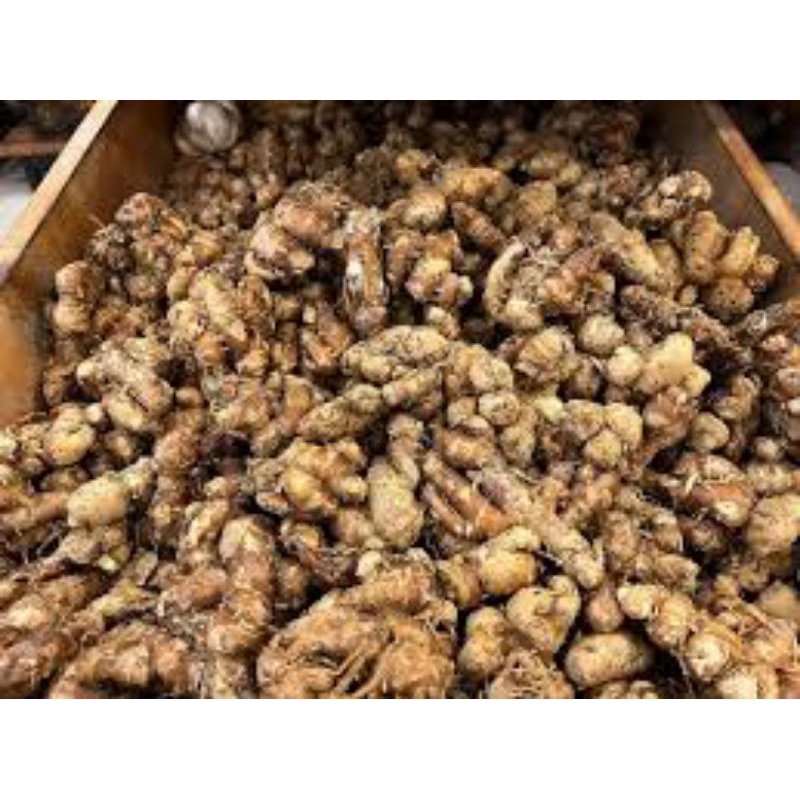 

KUNCUR CIKUR SUPER BUMBU DAPUR