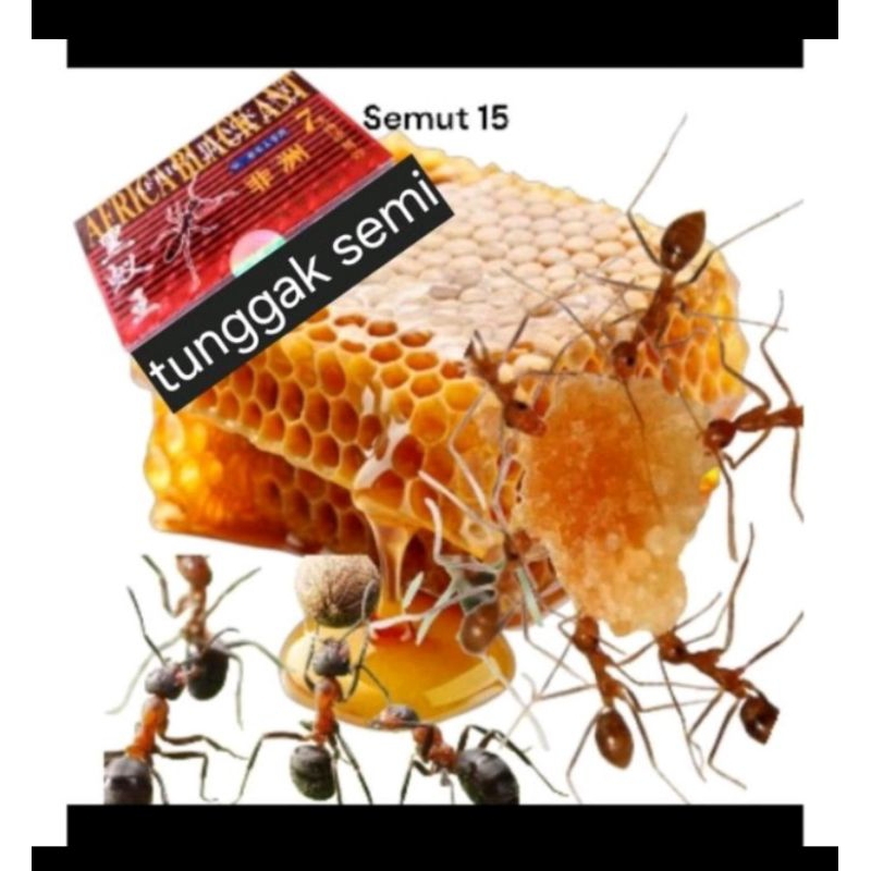 

cod sarang madu aselii box merah isi 15 sachet