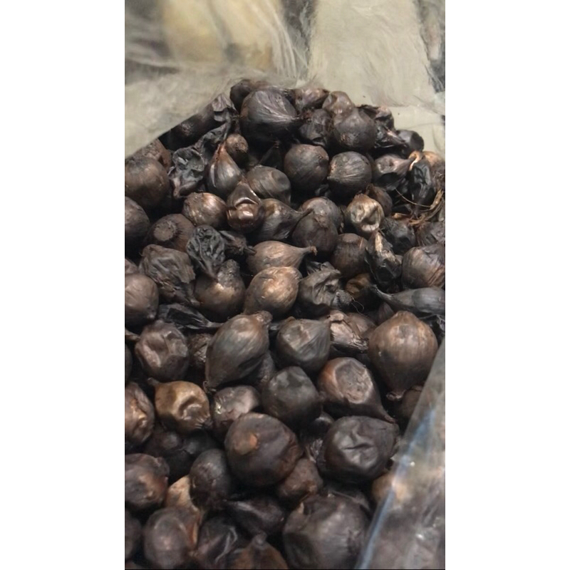 

BLACK GARLIC sumatra