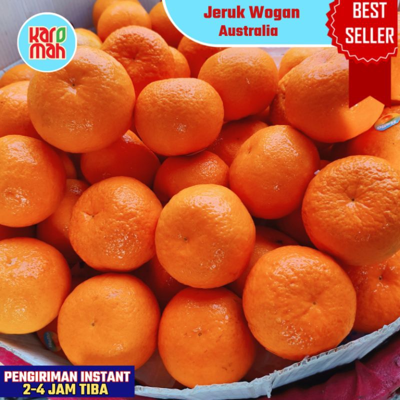 

BEST • BUAH JERUK WOGAN AUS 500 GRAM MANIS FRESH / BUAH JERUK WOGAN / WOKAM PREMIUM FRESH SUPER