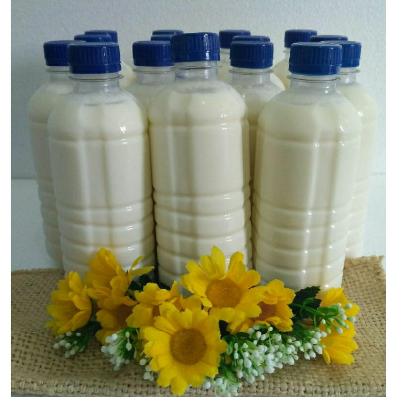 

susu kefir sapi 1 liter