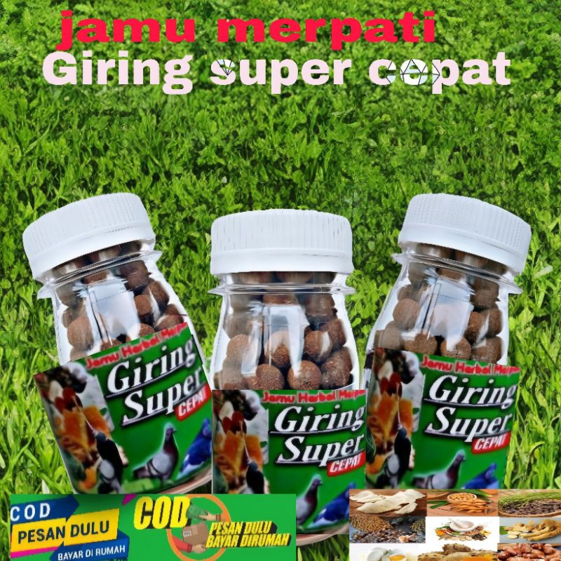 100 butir jamu herbal merpati giring super cepat ampuh dalam 2 hari pil extra ginseng teki super Son