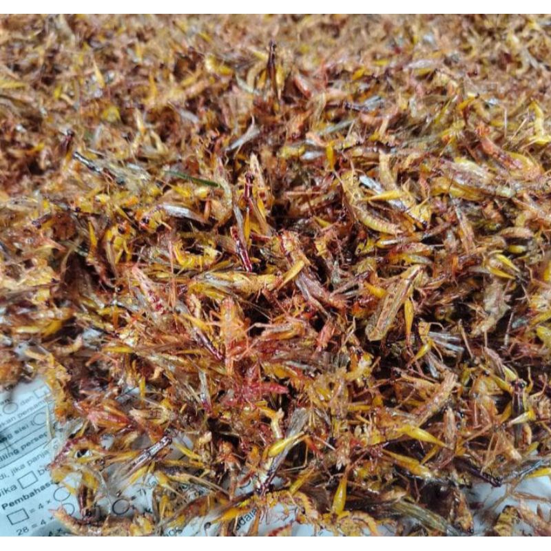 

BELALANG GORENG KHAS LAMONGAN