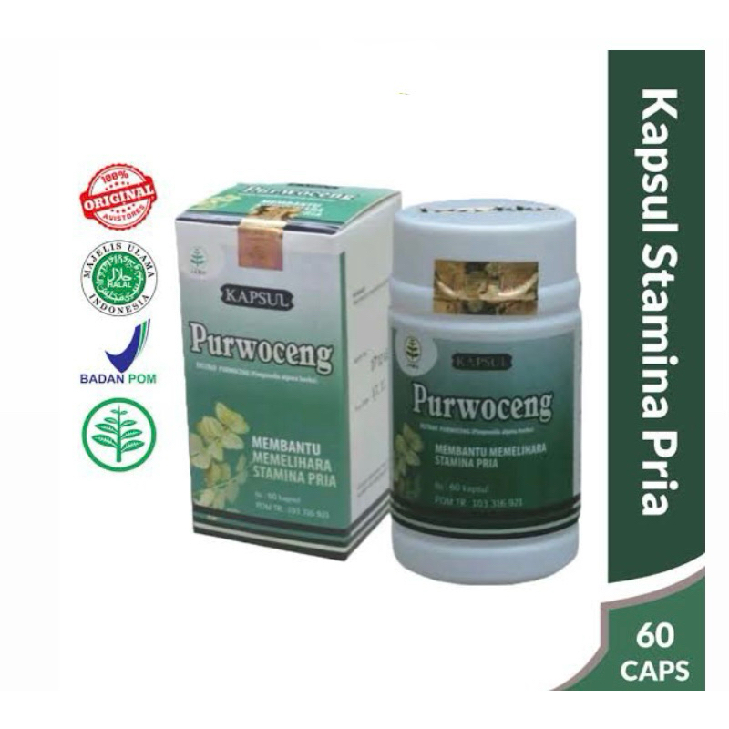 KAPSUL PURWOCENG 60 KAPSUL