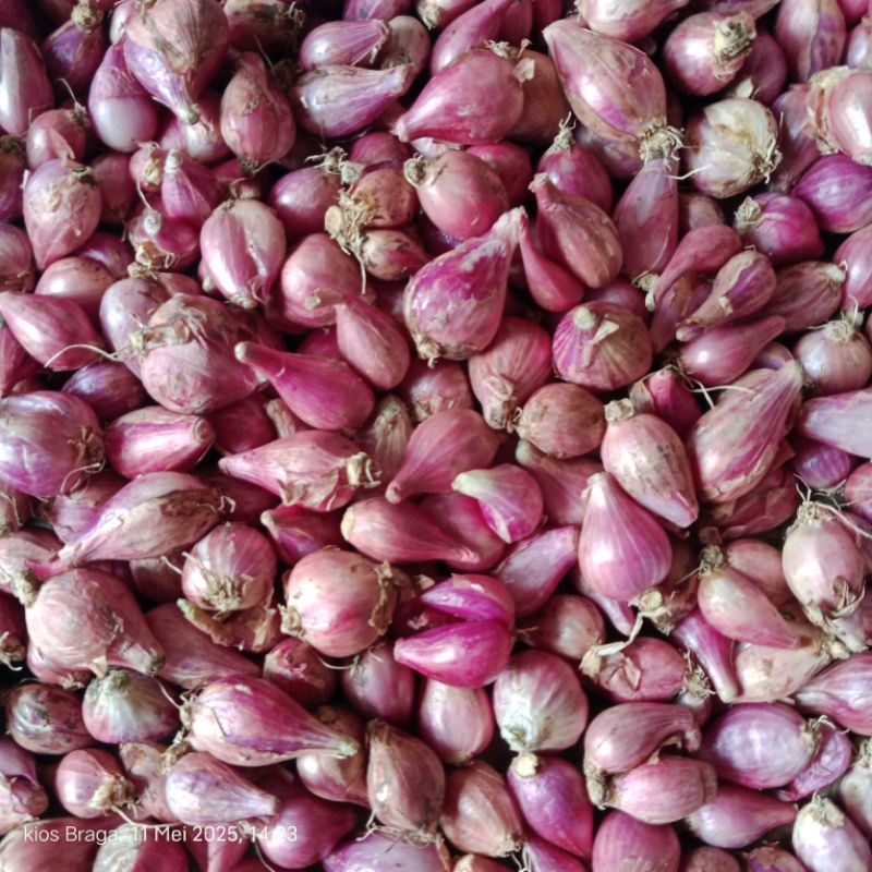 

bawang merah lokal 1/2 kg