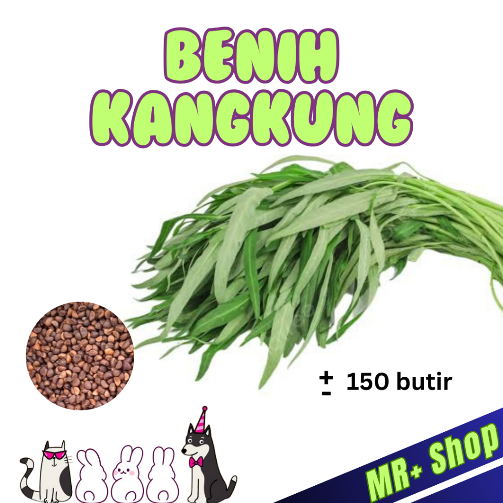 Benih Kangkung Isi 150 Butir - Benih Sayur Kangkung - Benih Sayuran - Kangkung - Sayur Kangkung
