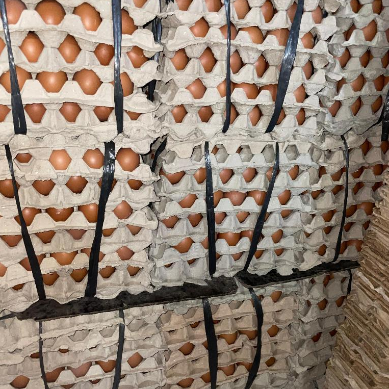 

Telur Ayam Negri Fresh Per Kg Kualitas Baik