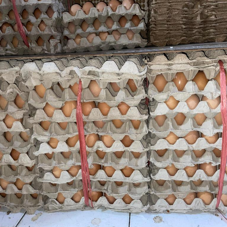 

IO Telur Ayam Omega Fresh Per Kg Kualitas Baik