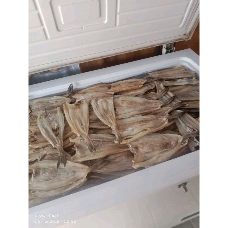 

IKAN ASIN JAMBAL ROTI/IKAN ASIN /IKAN ASIN KHAS PANGANDARAN/ASIN IKAN