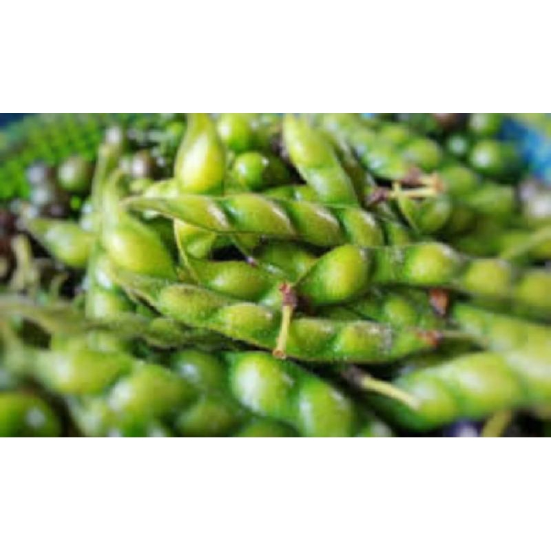 

kacang hiris /sayur gude 500 grm