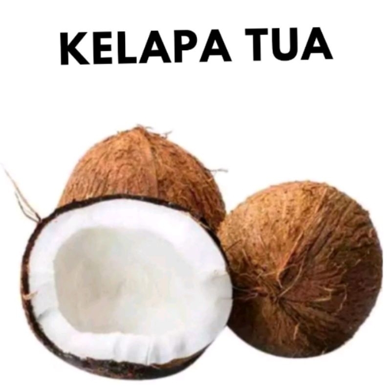 

KELAPA TUA SEGAR/KELAPA KUPAS